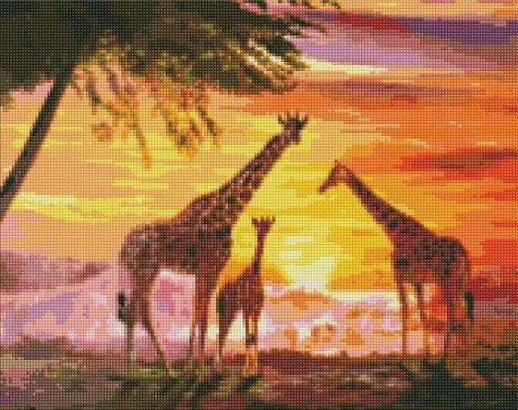 edukamp-1202606102226133632364