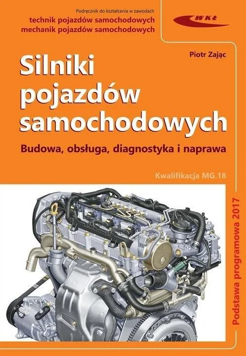 edukamp-1202606110326533650655