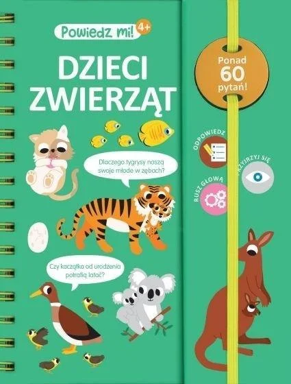 edukamp-1202606110549303659470