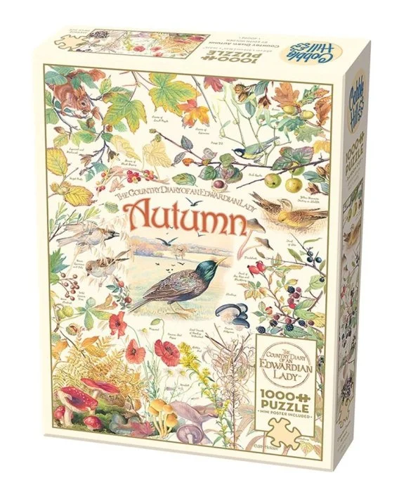 edukamp-12026061119045638719