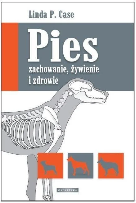 edukamp-12026061120314744751