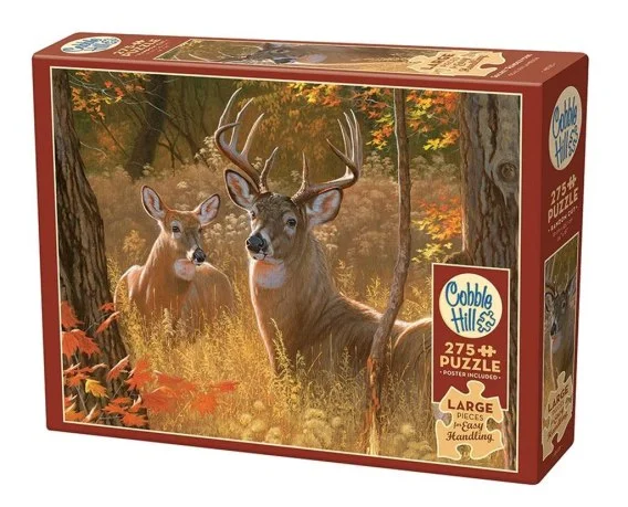 edukamp-12026061122243151603