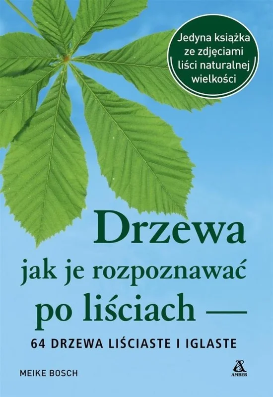 edukamp-12026061200344859847