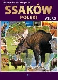 edukamp-12026061201053262016