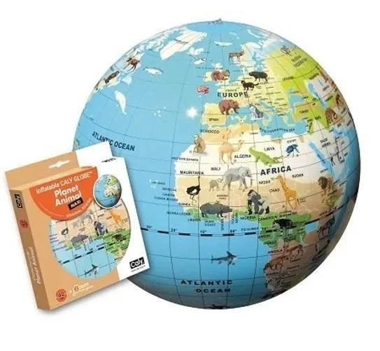edukamp-12026061203082271037