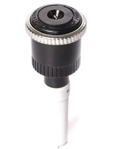 edukamp-12026061205480582629