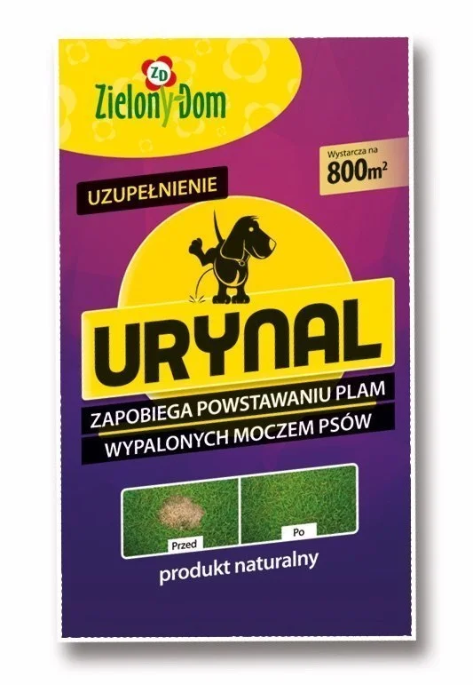 edukamp-12026061206135184220
