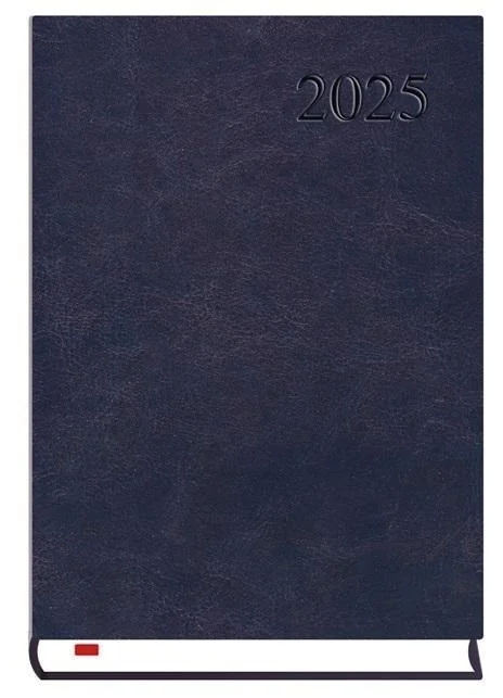 edukamp-120260612124046117835