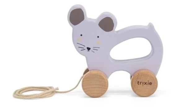 edukamp-120260615162442529020