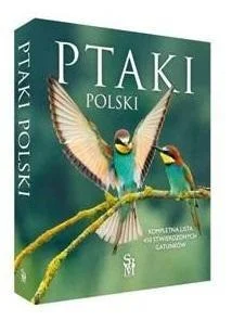 edukamp-120260616101851582476