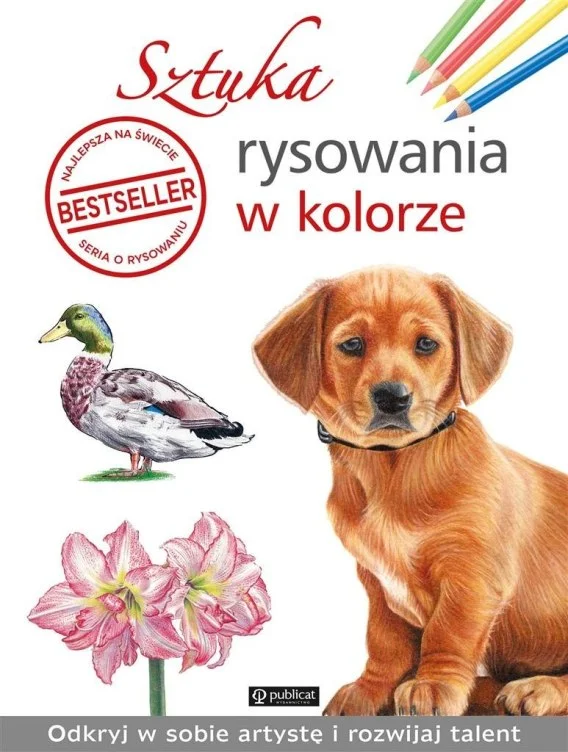 edukamp-120260616102820583608