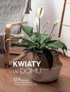 edukamp-2202606101238063553090