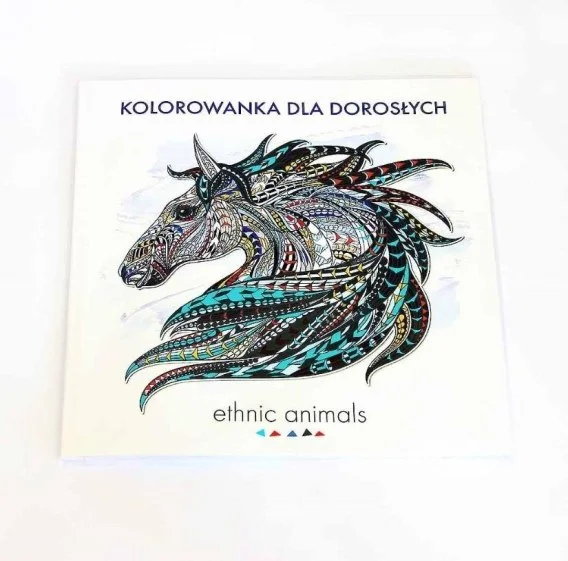 edukamp-2202606101455263575491
