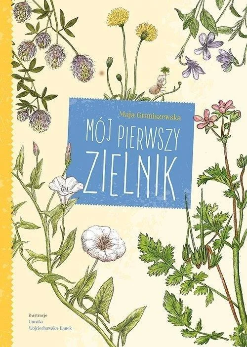 edukamp-2202606101829523610705
