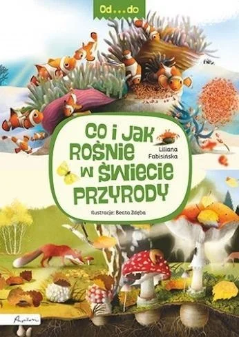 edukamp-2202606102338563636810