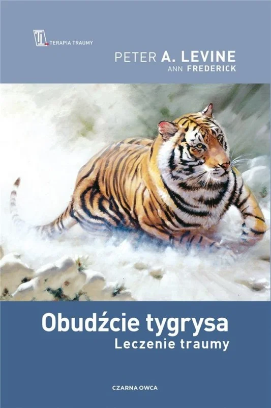 edukamp-2202606110207163645739