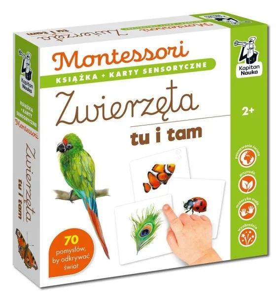 edukamp-2202606110458303656333