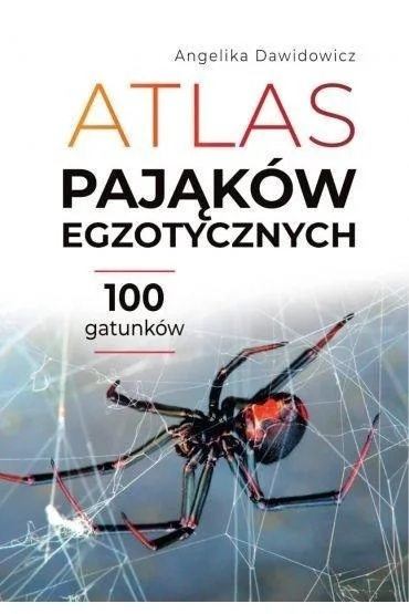 edukamp-2202606110754163667049