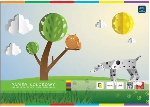 edukamp-22026061115160922334