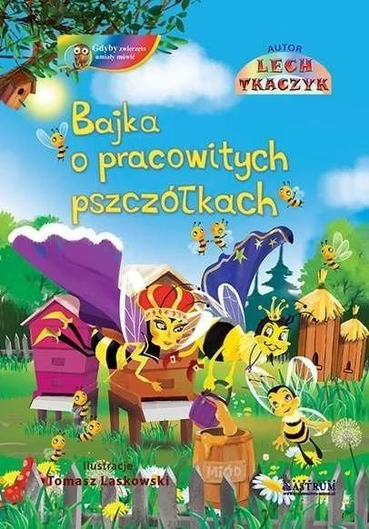 edukamp-22026061120113743456