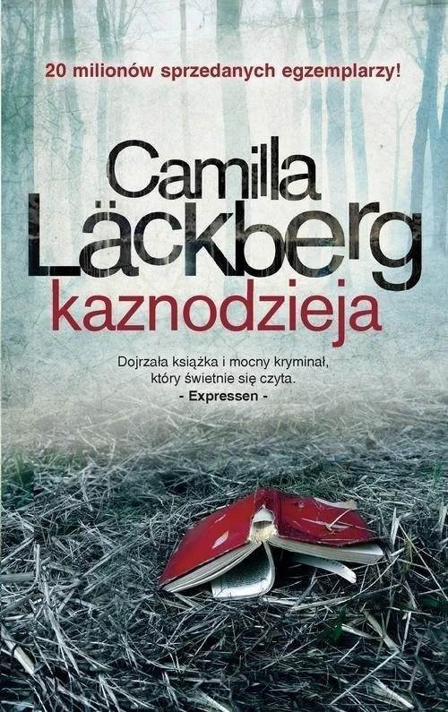 edukamp-22026061120185943916