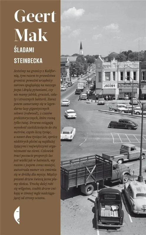edukamp-22026061122143950985