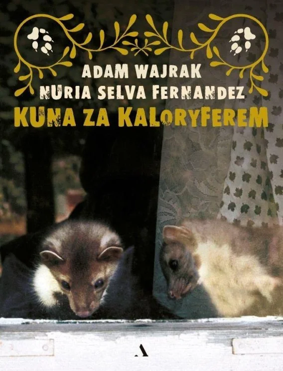 edukamp-22026061201464565156