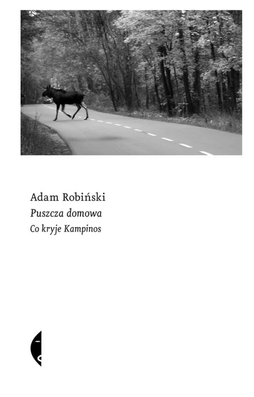 edukamp-22026061207535788536