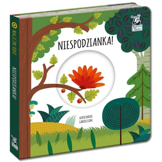 edukamp-220260612131537119789