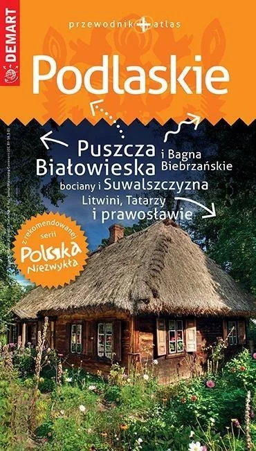 edukamp-220260613025729215951