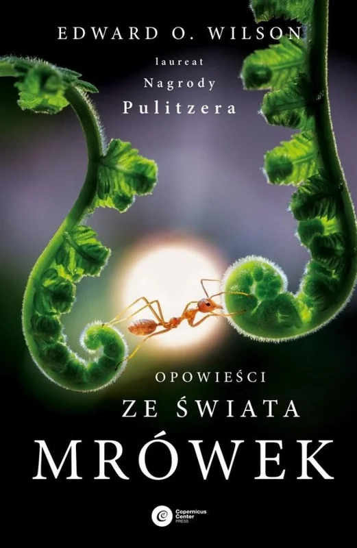 edukamp-220260613033127219600
