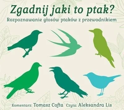 edukamp-220260613034025220506