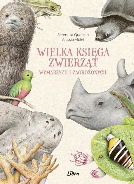 edukamp-220260613151157274737