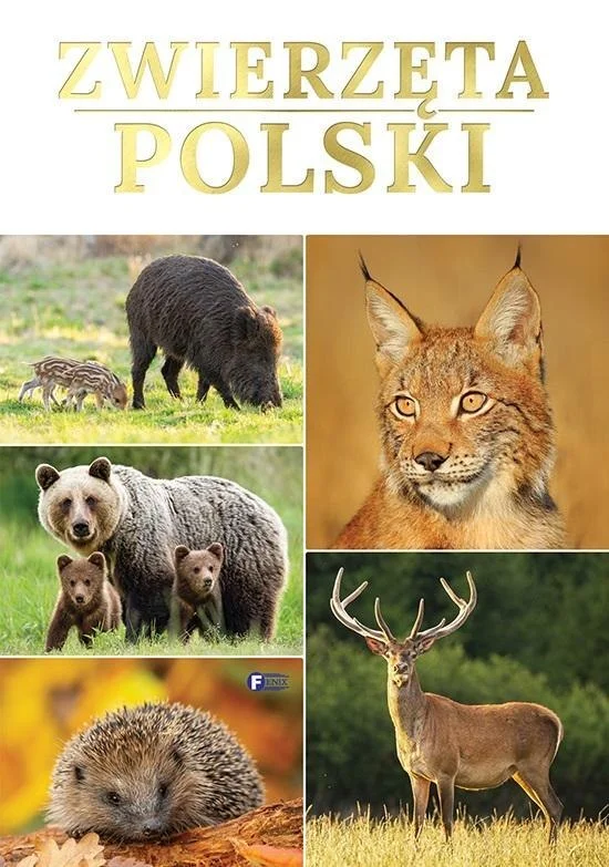 edukamp-220260613203325320882