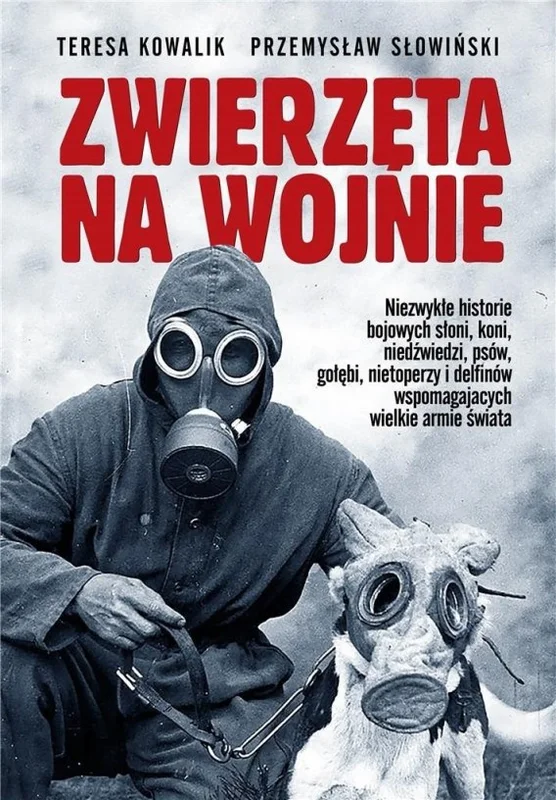 edukamp-220260613230632339793