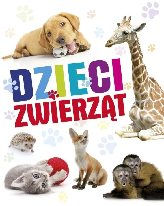 edukamp-220260614053455376552