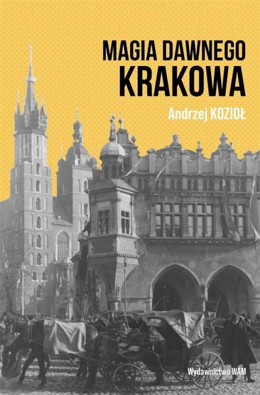 edukamp-220260614152809419168