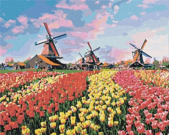 edukamp-220260614214219479020