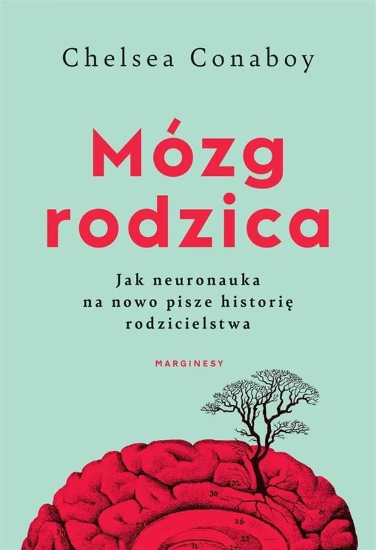 edukamp-220260615072253509767