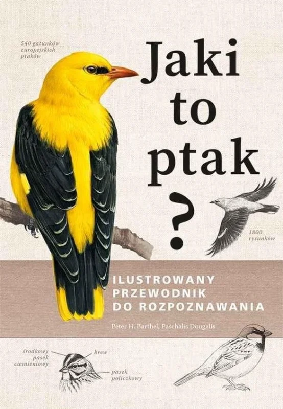edukamp-220260615143613524820
