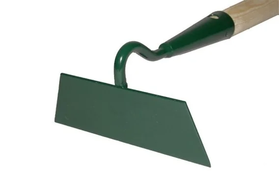 edukamp-220260616000531556637