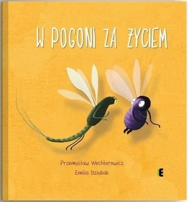 edukamp-220260616060523568347