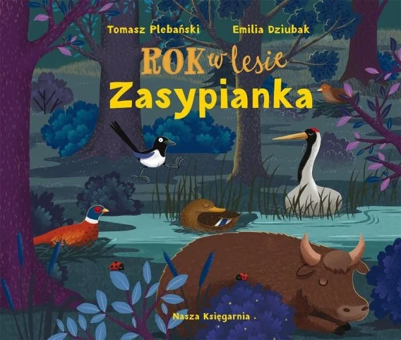 edukamp-3202606101307223557981
