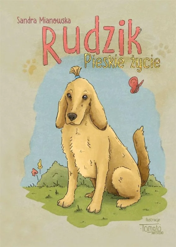 edukamp-3202606102052583626541