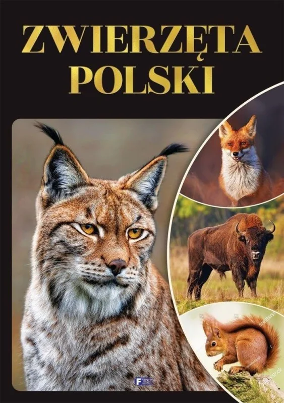edukamp-3202606110413473653589