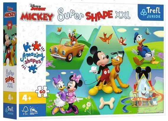 edukamp-3202606110541563658996