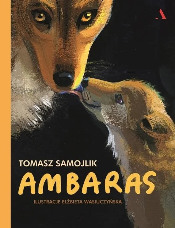 edukamp-32026061117213631316