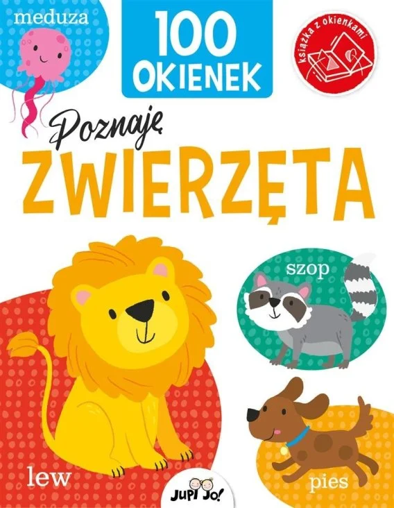 edukamp-32026061117504433398