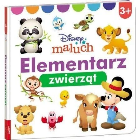 edukamp-32026061200061957772