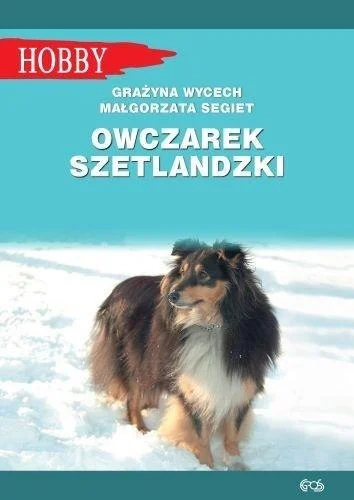 edukamp-32026061200455060650